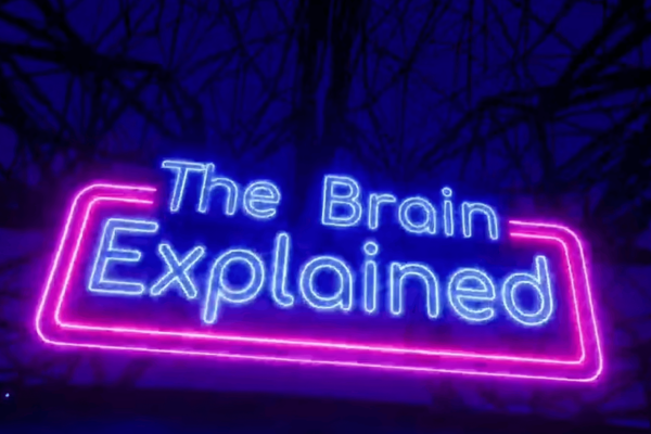 Still from the 2D film The Brain Explained